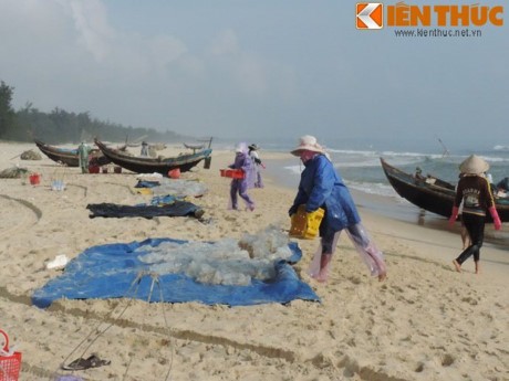 Ngu dan vao mua san “vang trang”, kiem chuc trieu moi ngay-Hinh-7